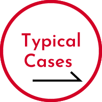 Typical Cases