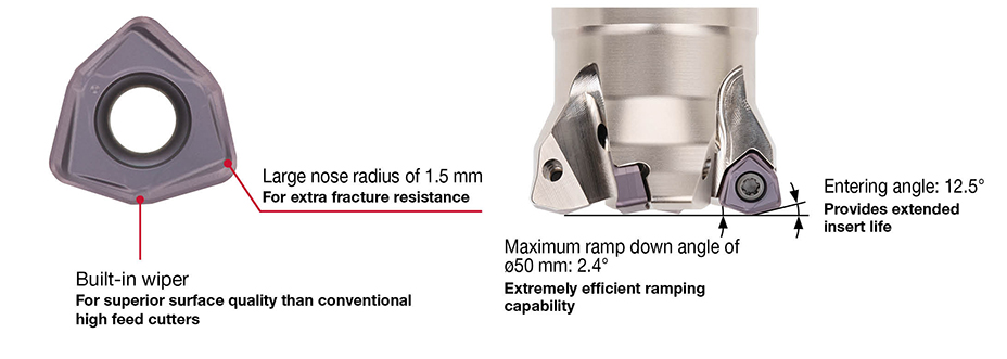 DoFeedTri_06_PR_BF-G