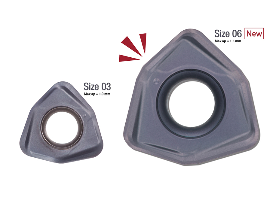 DoFeedTri_Large size_New_top